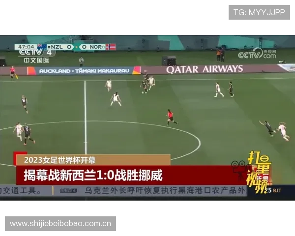 世界杯挪威对法国比赛战术分析，深入剖析双方战术体系与比赛关键点